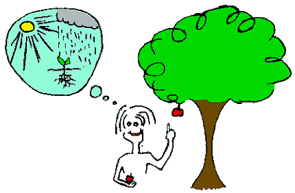 Jonasdelossanto S Blog Food And Drink