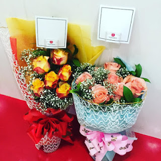 happy rose day 2016
