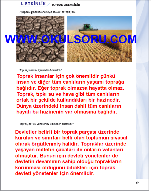 Sayfa 67 CEVAPLARI 7.Sınıf Ekoyay Yayınları Sosyal Bilgiler Çalışma Kitabı WWW.OKULSORU.COM