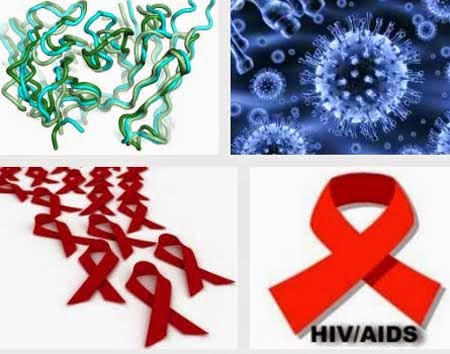 Beberapa Gejala HIV AIDS Tahap Awal | The Bliss Guild