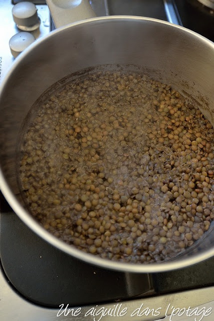 Lentilles vertes du Puy