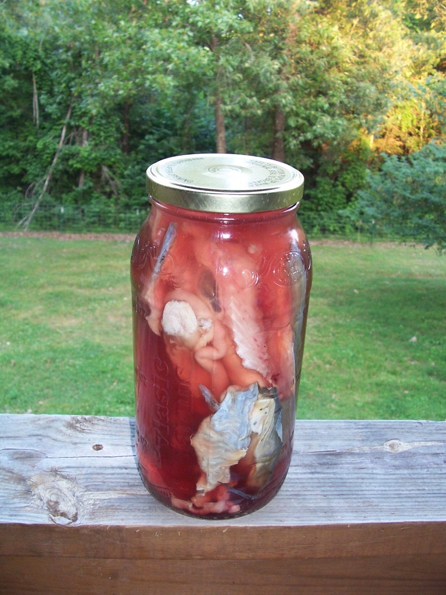 Krazo Acres Fish (guts) 'N Chips