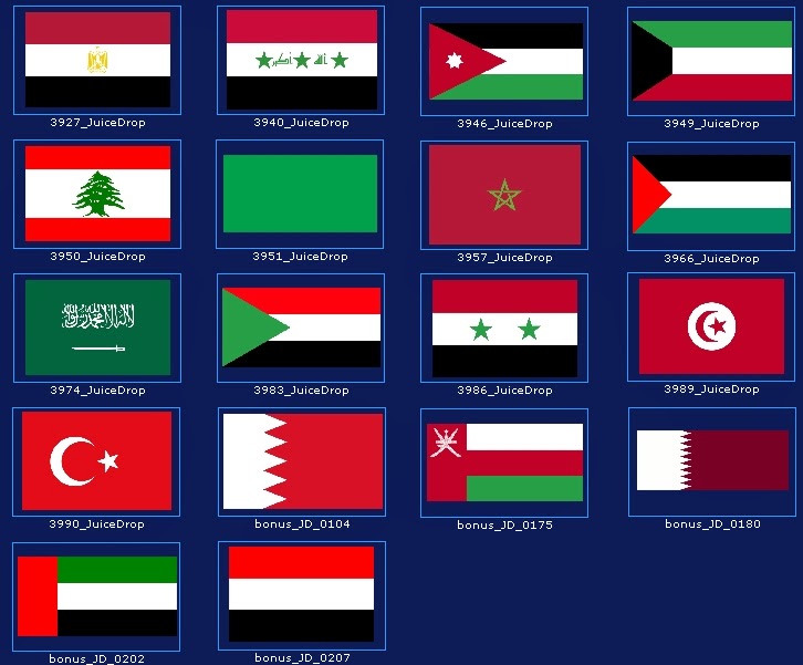 أعلام الدول العربية ومعانيها