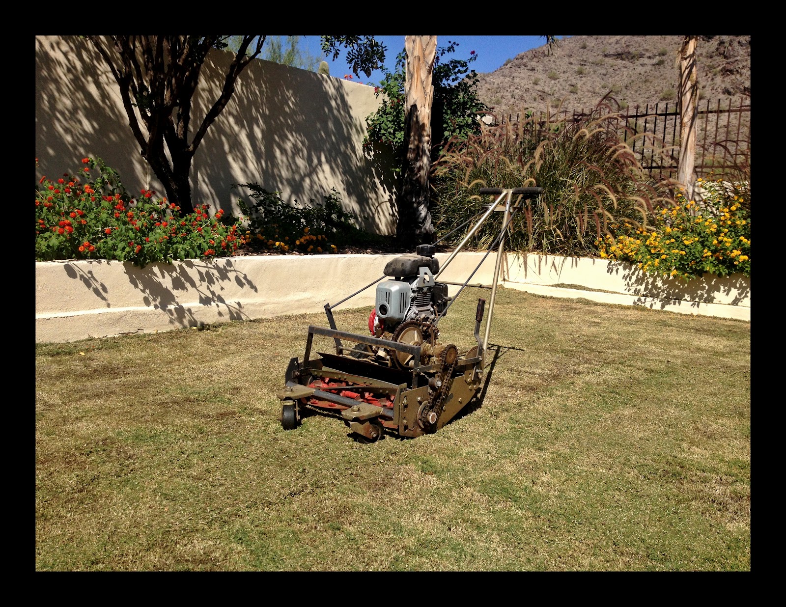 should i bag my grass clippings after overseeding should i bag my grass clippings after overseeding
