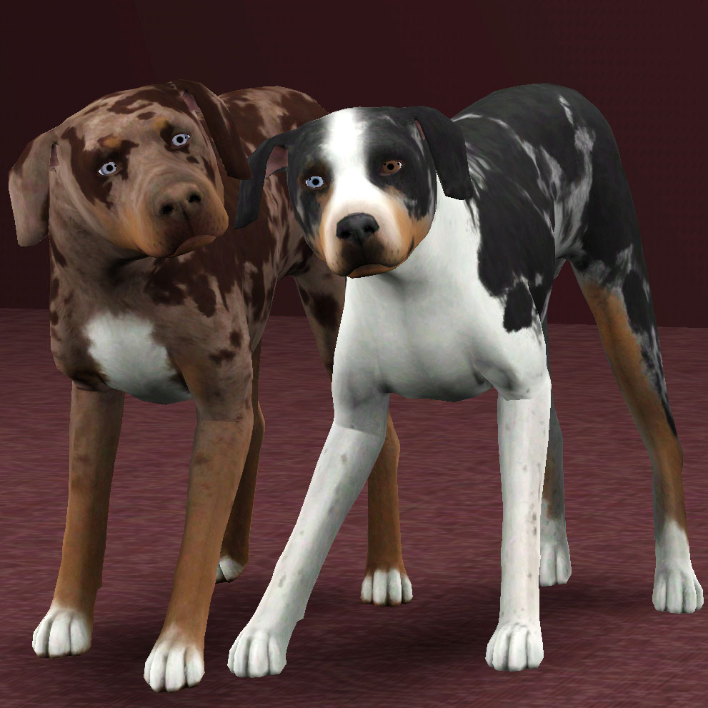 Sims 3 Hunde Download