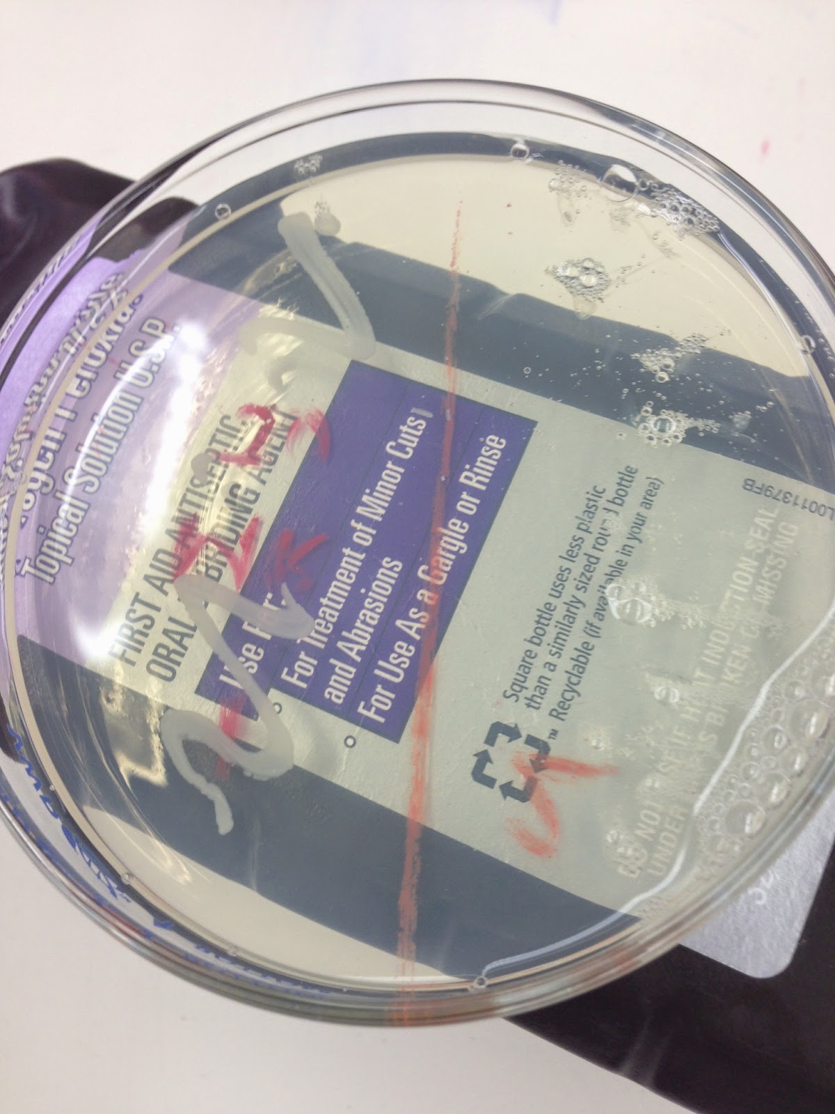 Getting Bacteria Samples