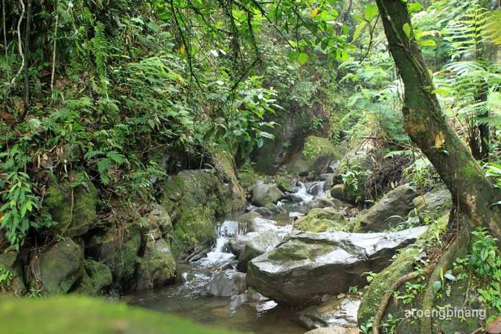curug cadas ngampar bogor