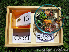 Insect themed odd and even numbers activity for kids (free printable)