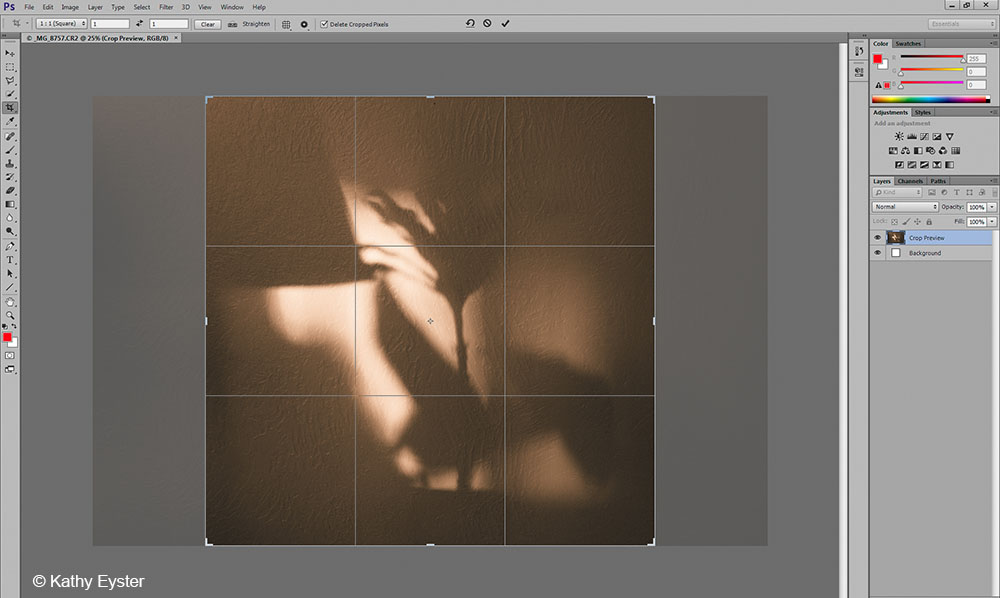 How to Crop an Image in Photoshop