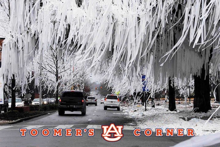 toomers.bmp