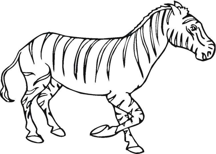 Gambar Mewarnai Zebra Terbaru Gambarcoloring