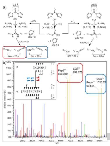 News in Proteomics Research: The first 