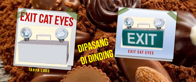 Exit Cat Eyes dan Fungsi kegunaan Feature Exit Cat Eyes dan Fungsi kegunaan
