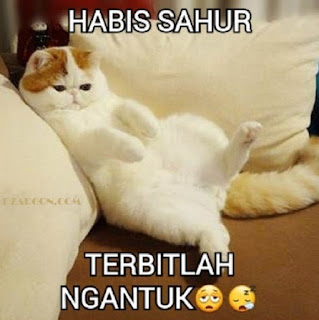 Foto lucu dan Gambar lucu DP BBM dan Meme Terbaru Jomblo Buka puasa lucu tentang ramadhan