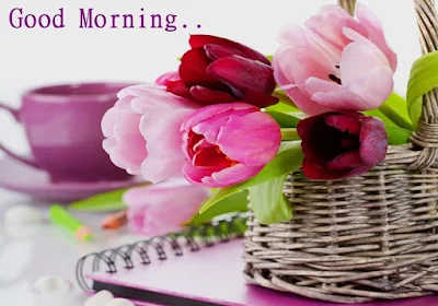 lovely-tulips-good-morning-love-imagess