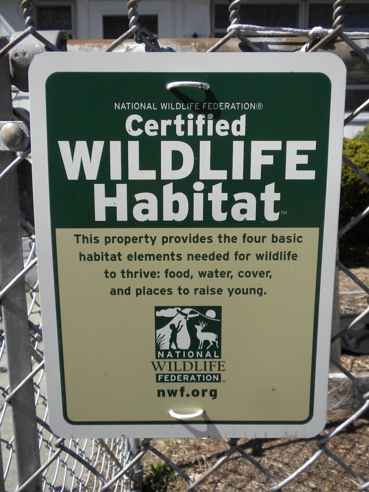 Everyday Green Turning Your Yard Into a Wildlife Habitat