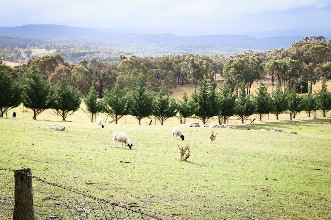 Hill End Town NSW Australia