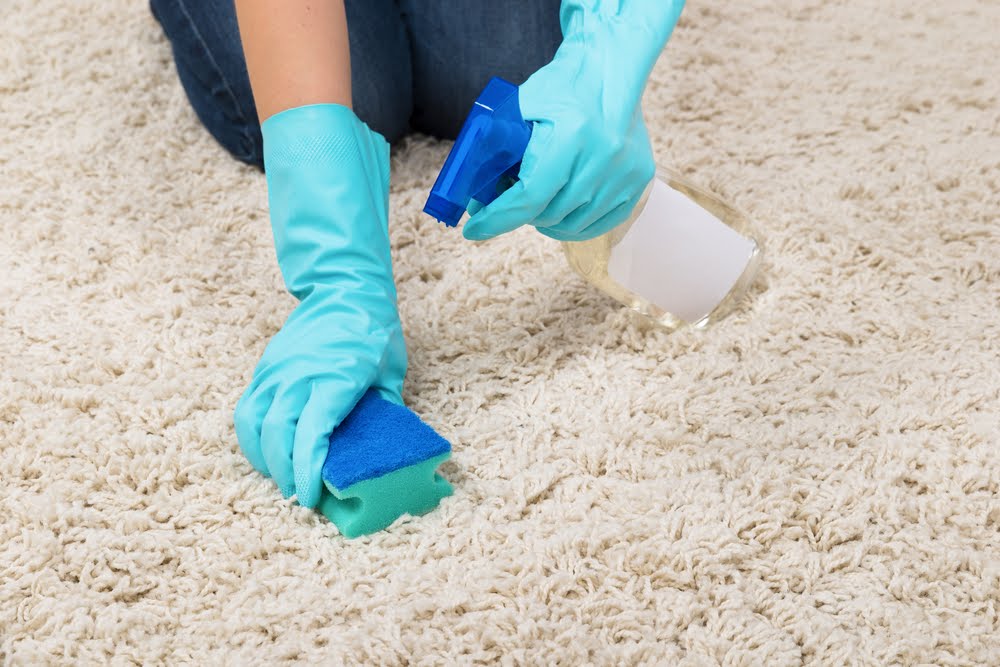 SteamKleen Makeup stain removal for carpets