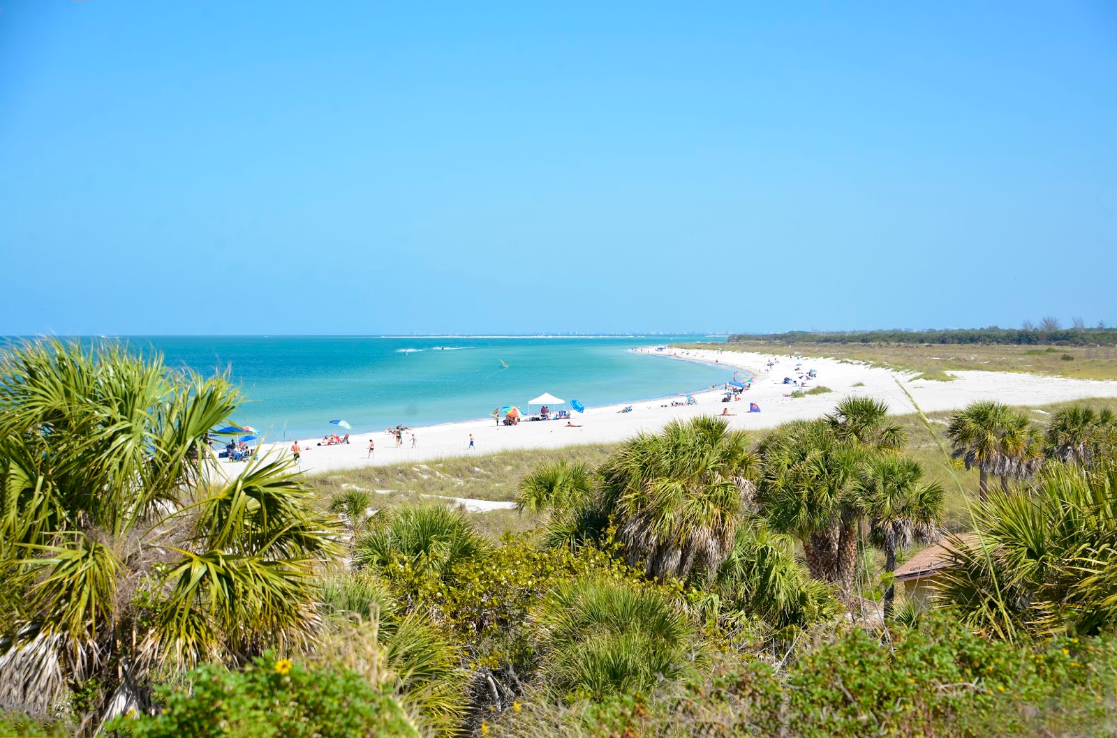 Life and Coconuts Exploring the Natural Beauty of Fort De Soto Park