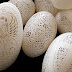 ¿Cómo elaborar un huevo de pascua con la herramienta DREMEL® 3000 (3000-5/75)?