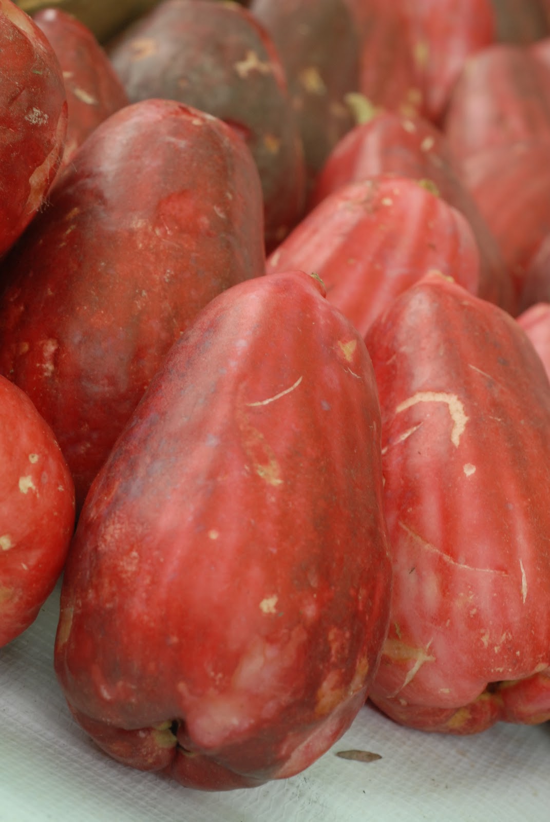 KANUTTO FUENTES PHOTOGRAPHY Quepos, Costa Rica Farmers Market