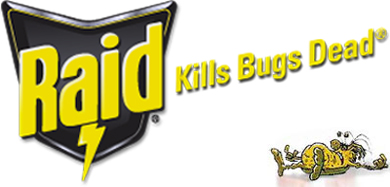 Raid Kills Bugs Dead.
