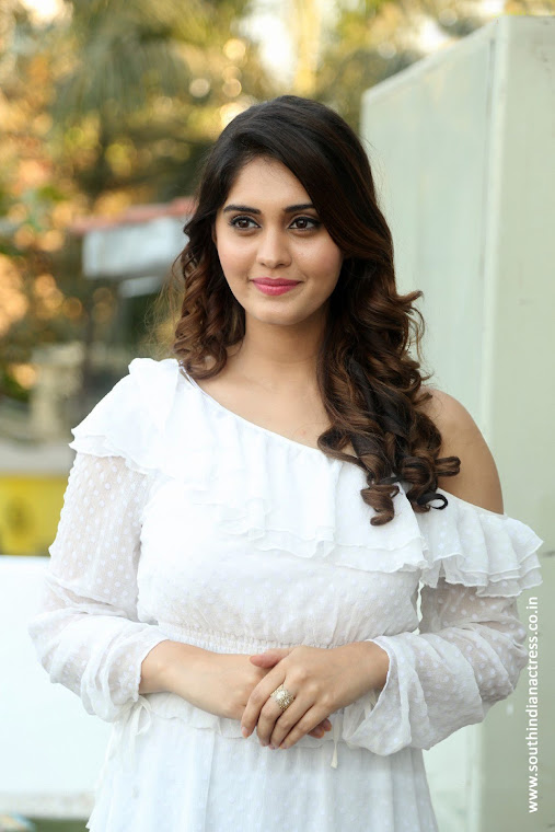 Surbhi at Okka Kshanam Success Celebrations