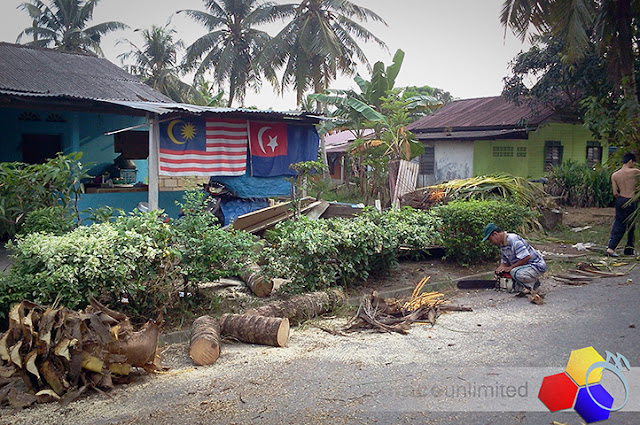 mknace unlimited | edisi tebang pokok kelapa dan lagi