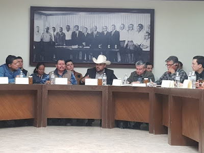 Destaca el diputado Norberto Ortega relevancia de la actividad apícola en Sonora