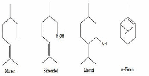 KIMIA BAHAN ALAM (NATURAL PRODUCT): PENENTUAN STRUKTUR ...