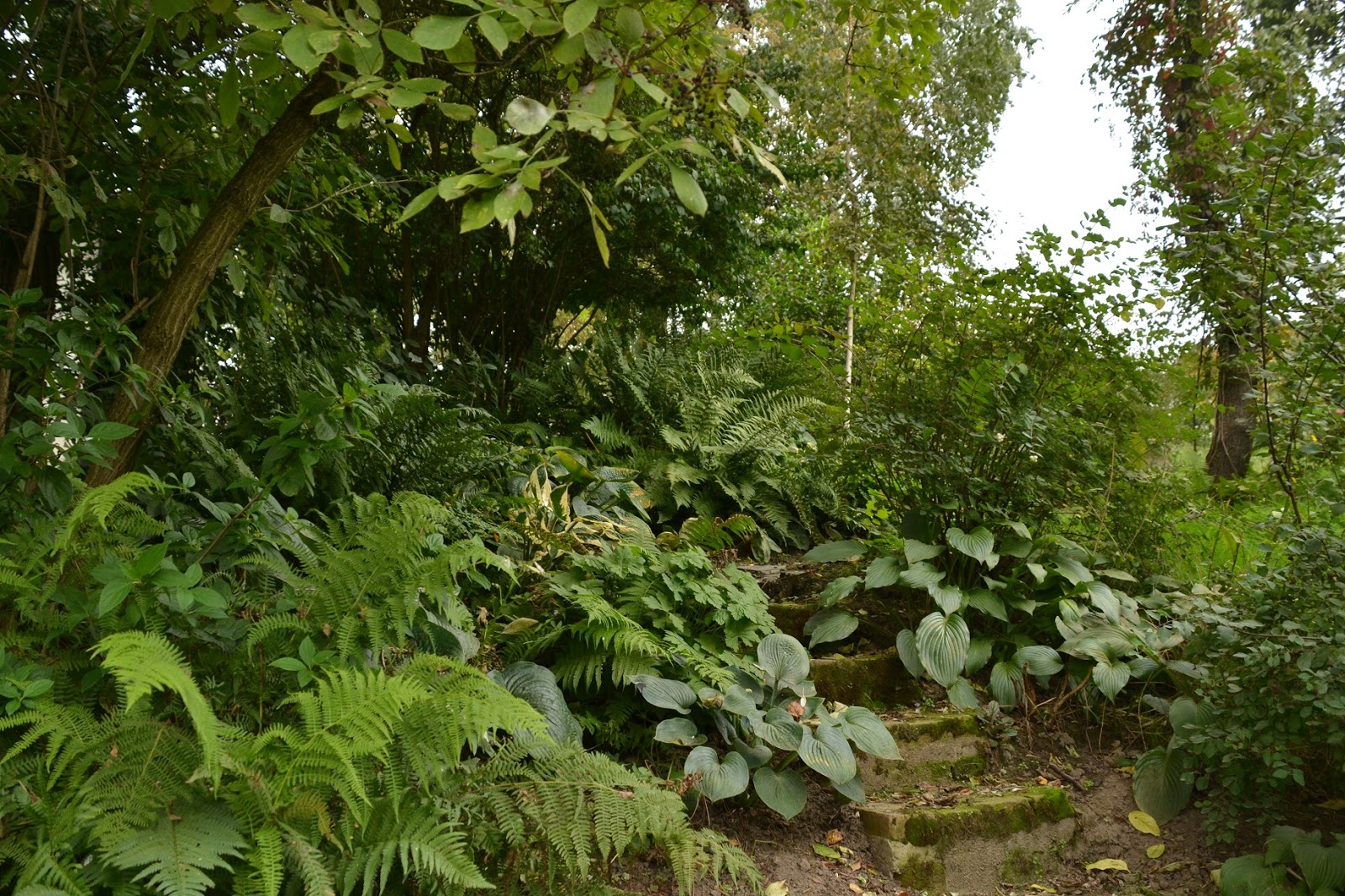 English Garden, ogród angielski ogród naturalistyczny copyrights anna