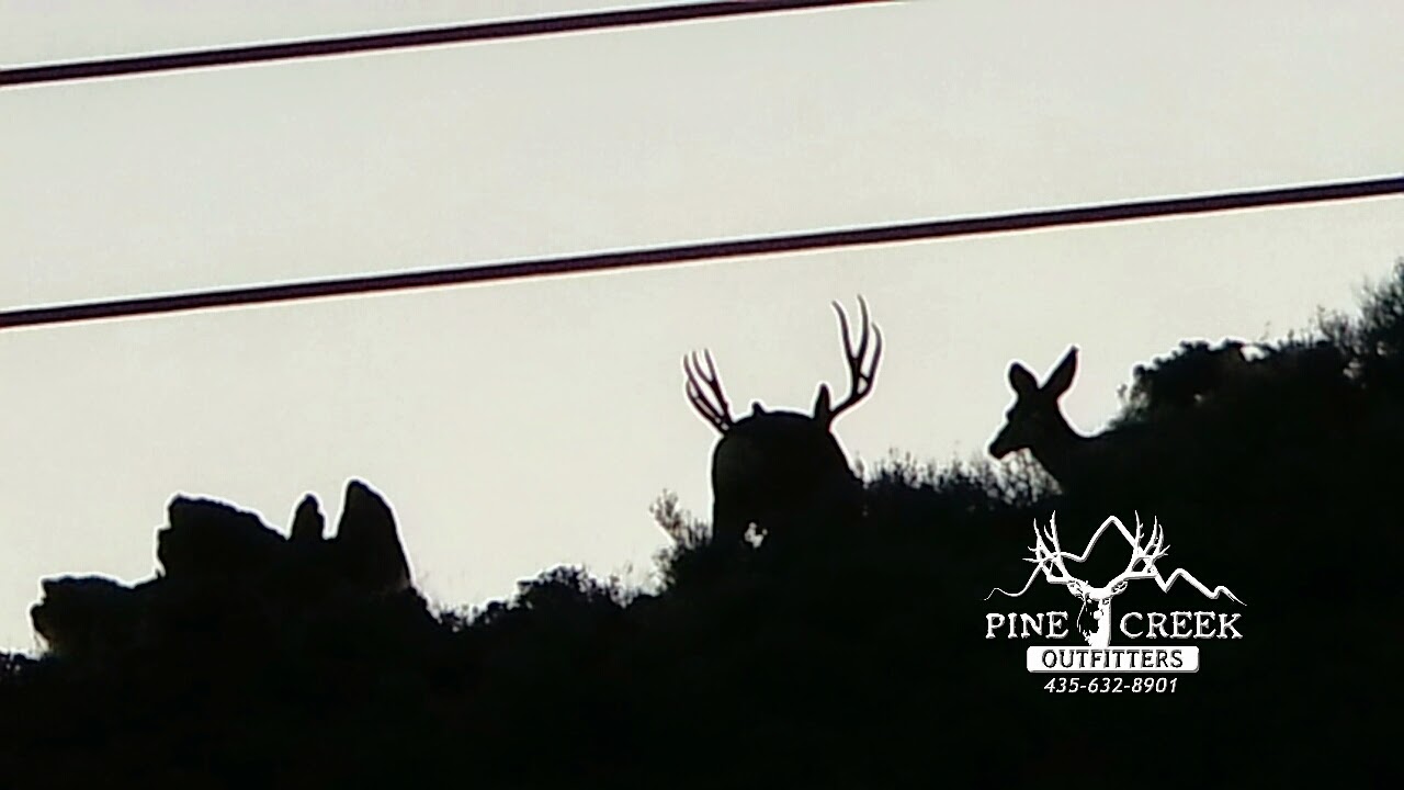 Pine Creek Outfitters Phone Skope