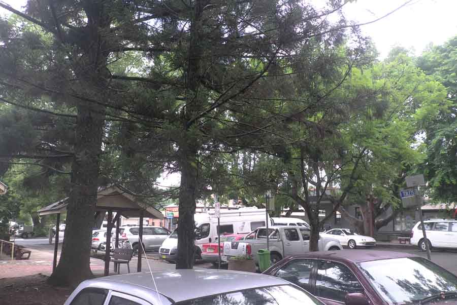 Camphor And Car Paint Camphor And Car Paint