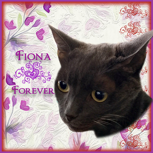 Rest in peace Fiona