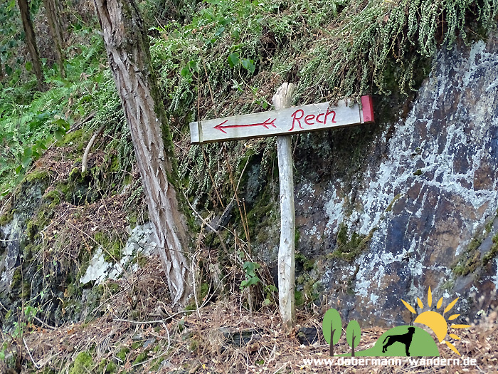 Interviewseite Helga Konig Und Peter J Konig Buch Kultur Und