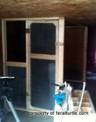 chicken door coop built 2x4 2x2 feral turtle ripped using into