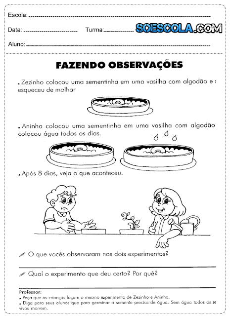 Atividade de Ciências 3° ano sobre Plantas Atividade de Ciências 3° ano sobre Plantas