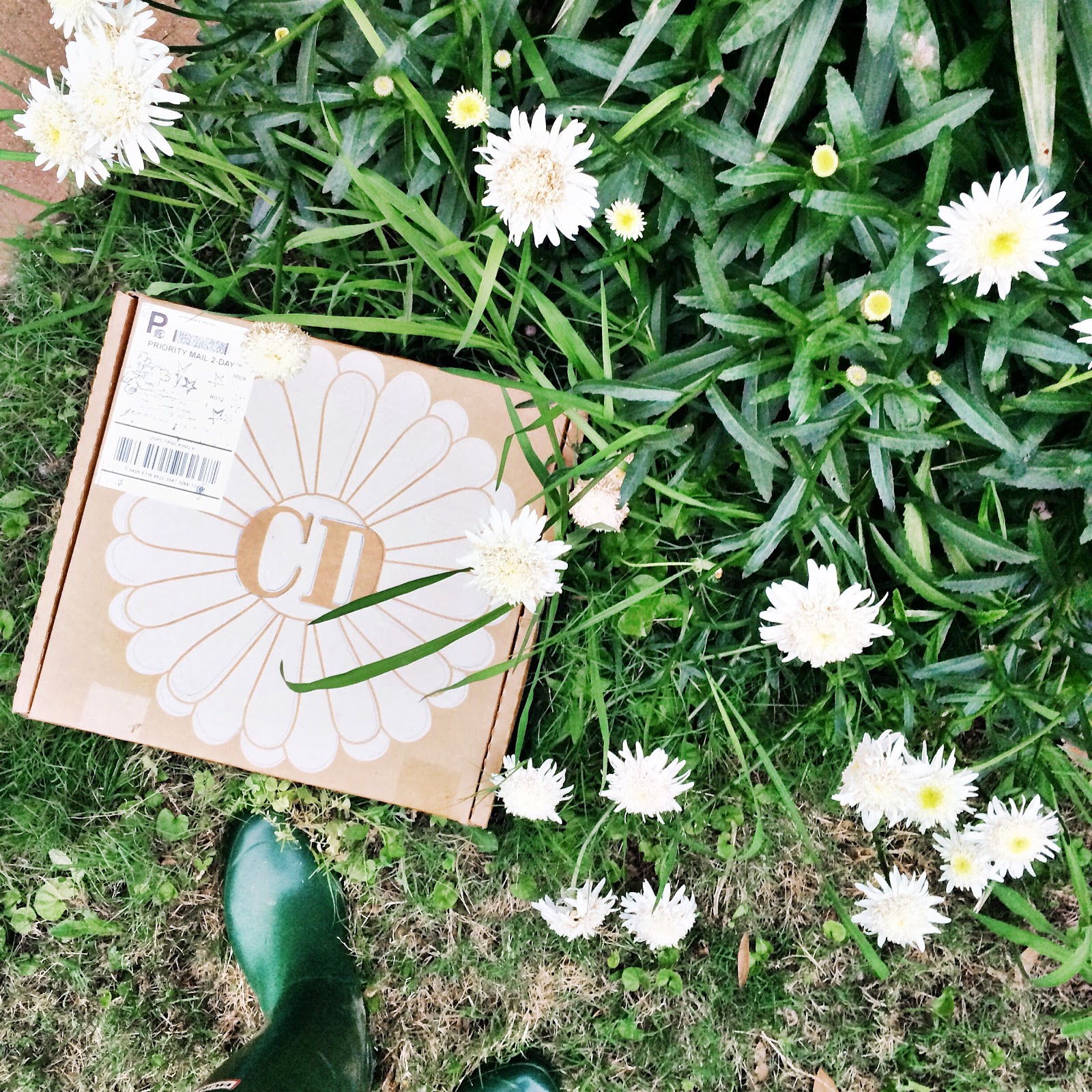 Rainbow Scrapbooks Cocoa Daisy Scrapbook Projects June Kit Walden Pond