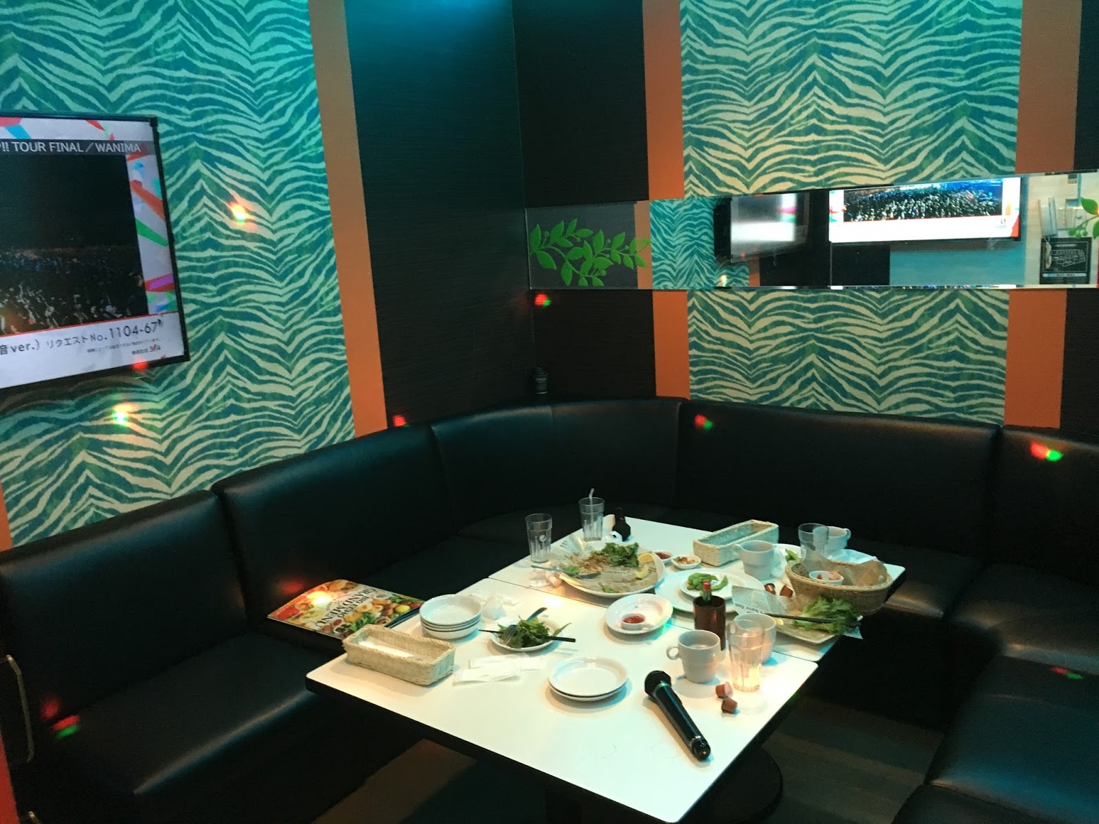 Karaoke Boxes Destroying the Myth of the Quiet, Shy Japanese