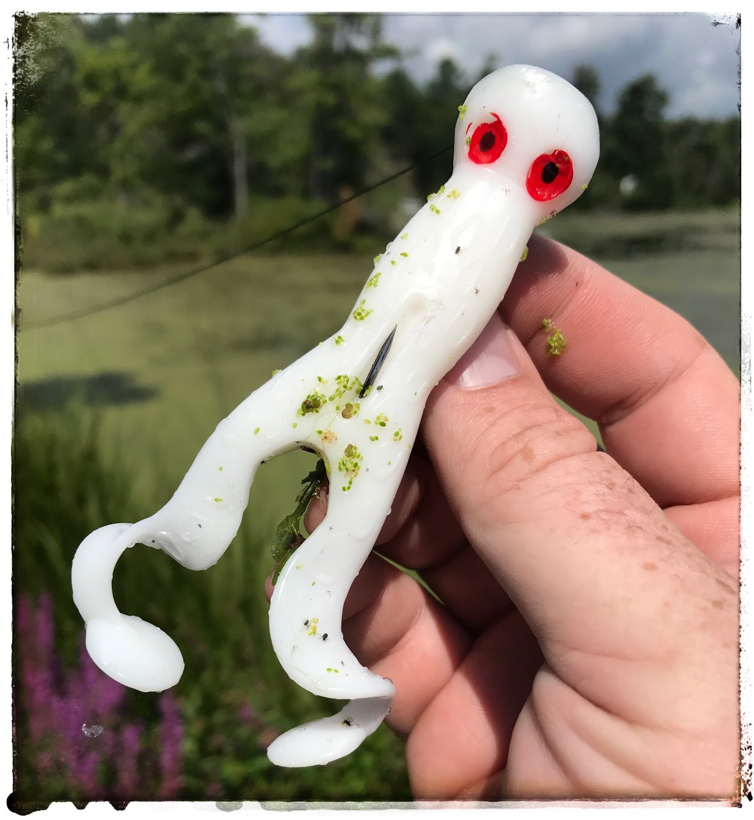 Bass Junkies Frog Pond Z Man Pop Frog Z Review