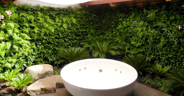 jardin hidroponico: PLANTA