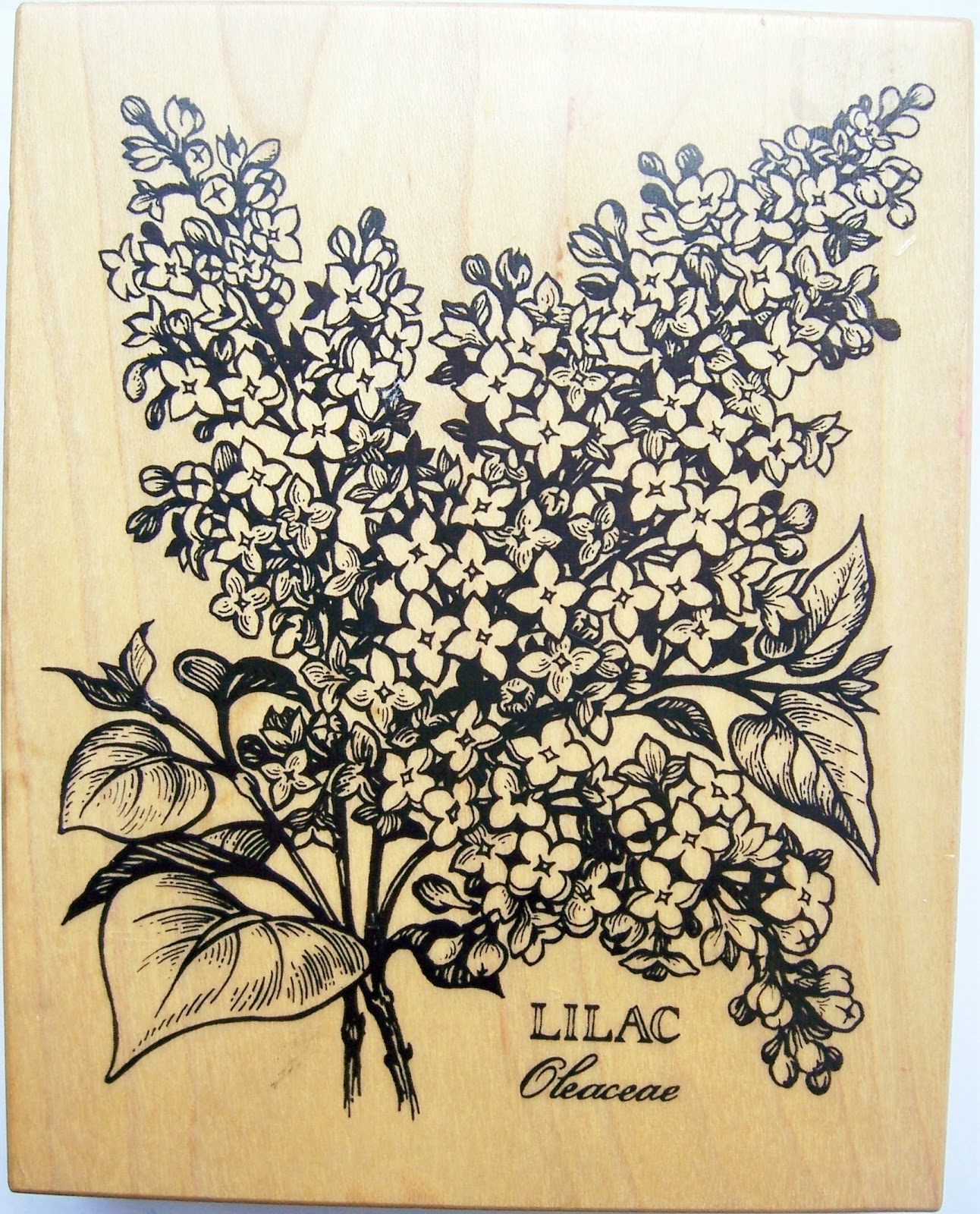 Rubber Stamps For Sale PSX Botanical Lilac Flower K1299