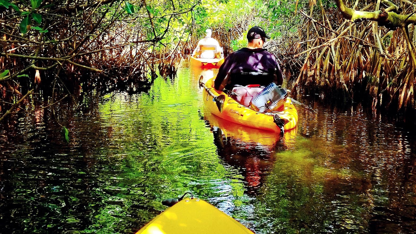 Everglades National Park Kayak Kayak Choices