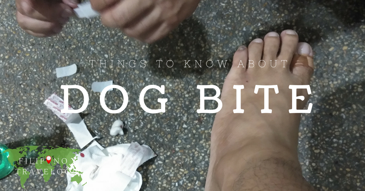 THINGS TO KNOW ABOUT DOG BITE - Filipino Travelog