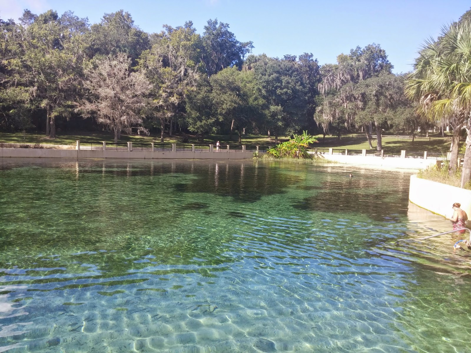 Sandbar Adventures Salt Springs, Ocala National Forest