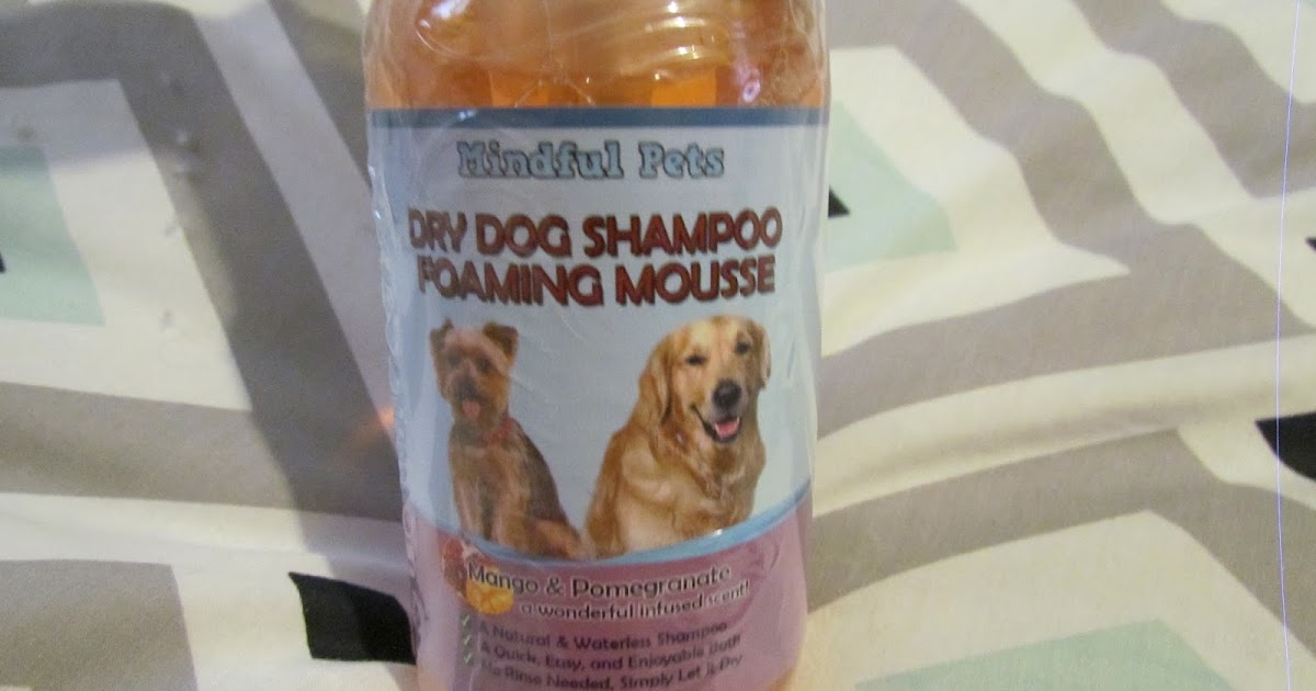 Missy's Product Reviews Dry Dog Shampoo