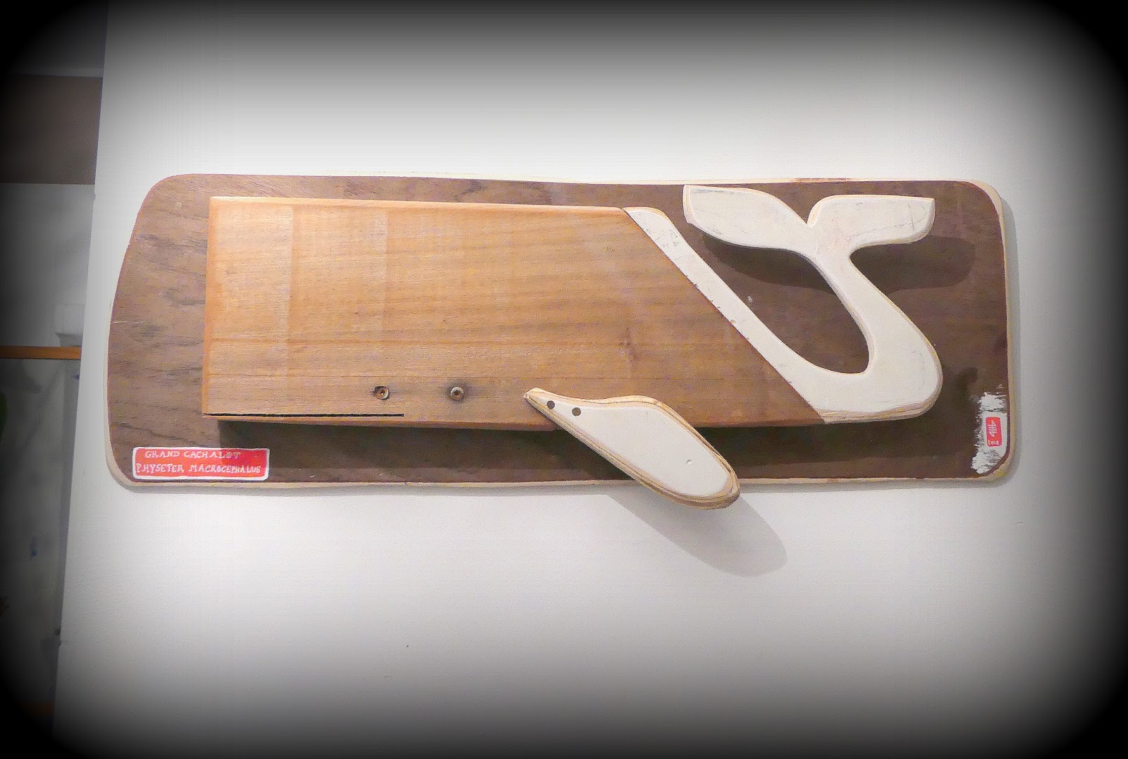 Download Art plage mur de bois flotte For iPhone Free