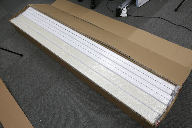 スポンジ・ボブについてあなたが知らないかもしれない8つのこと