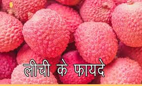 जानिए लीची के आयुर्वेदिक गुण/ फायदे | जानिए लीची के आयुर्वेदिक गुण/ फायदे |