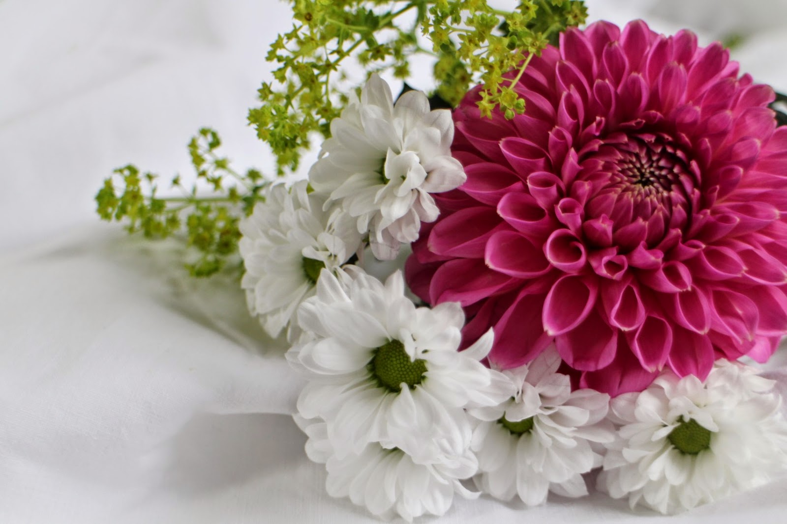 Pdf Ausgabe Bergischer Bote